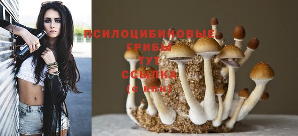 трава Белокуриха