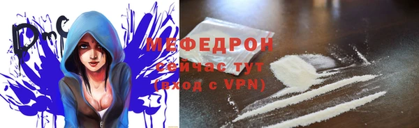 трава Белокуриха